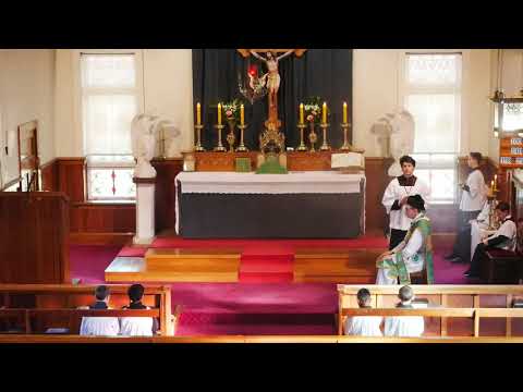 SSPXNZLIVE Livestream - 28 July 2019 High Mass