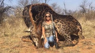 Big game hunter who killed giraffe faces social media backlash