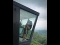 Sexual Video Shorts Love Family Saiyaara Song  Music Shortsfeed