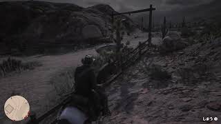 RDR2 5周目 #141