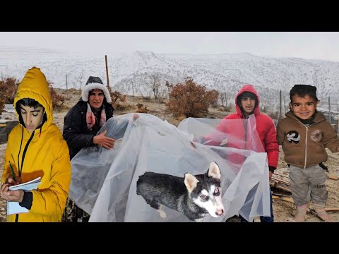 Trapped by Rain and Hail | Holding On to Warmth in a Harsh Mountain Day