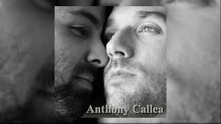 05.Anthony Callea - Obvious