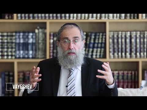 Il ne manque aucune pierre précieuse ! Rav Élie Lemmel - Parasha Vayéshev