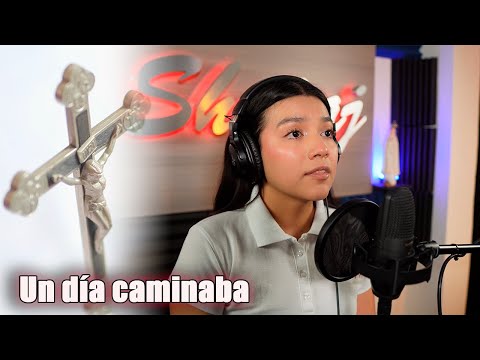Un día caminaba