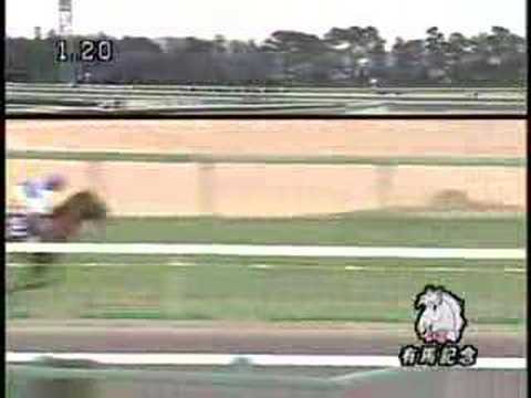 2006 Arima Kinen 有馬記念