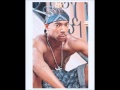 Ja Rule Thug Life Ft Case