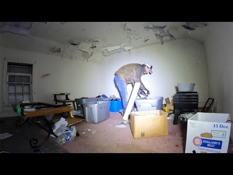 Estate Cleanout - What did we find today?