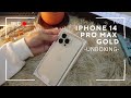 Смартфон Apple iPhone 14 Pro Max eSIM 512GB Silver