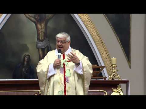 Homilia Santa Missa 20/05/2014 - Pe. Guido / Jesus nos transmite a paz!