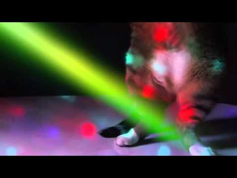 Meow Mix Song - Ashworth [[Dvj Komanche video Remix]]