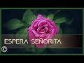 Love Story Music ● At First Sight (Entre Nous) - Espera Señorita ● Luis Bacalov (HQ Audio)