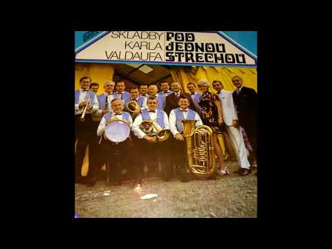 Pod jednou střechou - Karel Valdauf