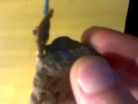 suspected meteorite 2 magnet test