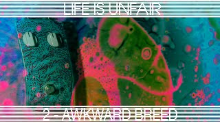 Video thumbnail for LIFE IS UNFAIR #2 - Awkward Breed by LIFE IS UNFAIR - Audio Devices