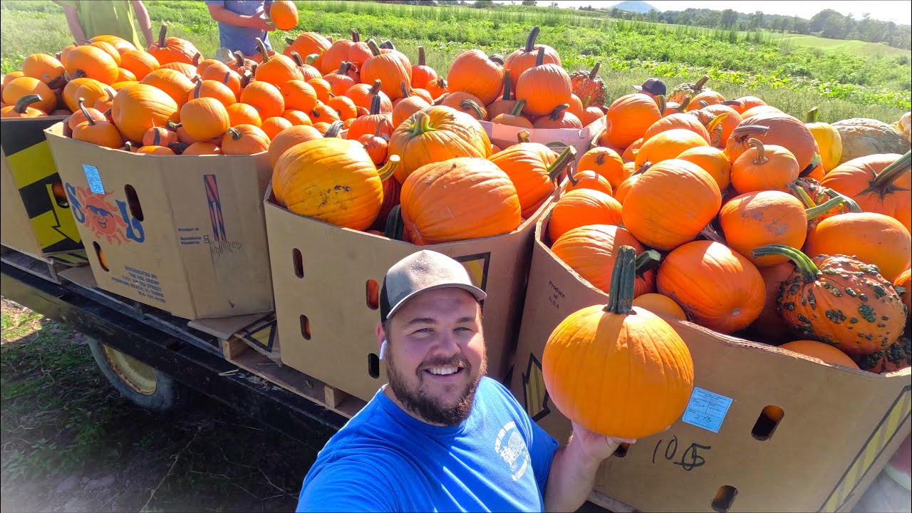 HARVEST TIME! We were shocked!
