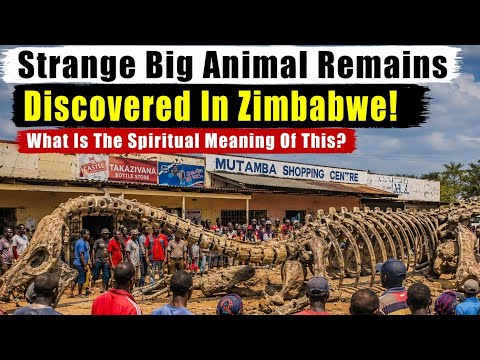 Strange Dinosaur Remains Discovered In Zimbabwe!  What ...