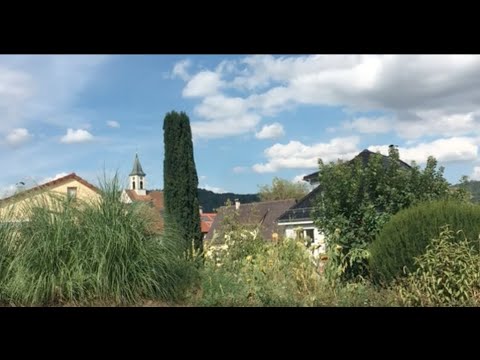 Herzlich willkommen in der Ferienwohnung Nenzingen am Bodensee.