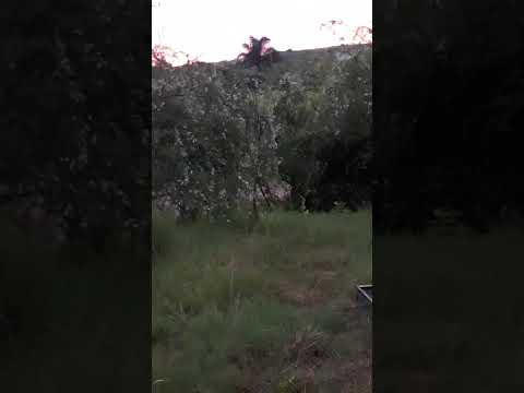 Atardecer en los cerros del Cuñapirú, Rivera. #historia #turismo