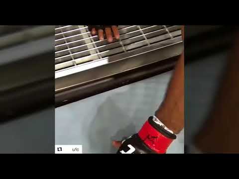 Força de Jacaré - Henrique Messias