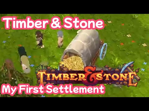 My First Settlement in Timber & Stone!