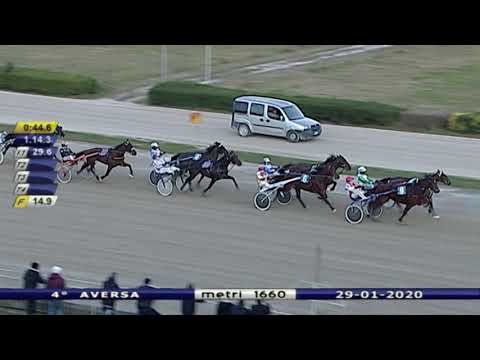 Aversa trotto 29 Gennaio 2020 - 4° Corsa