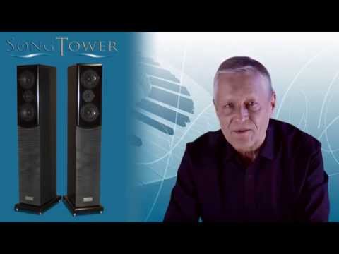 Salk SongTower QWT  Speakers image 10