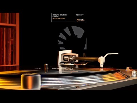 Bodyrox & Luciana ft. Nick Clow – Brave New World (2008)