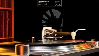 Bodyrox & Luciana ft. Nick Clow – Brave New World (2008)