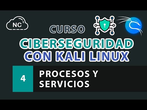 Curso de Ciberseguridad con Kali Linux Análisis de Endpoints de API