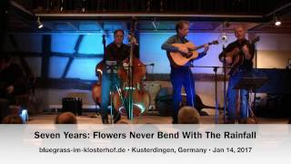 Seven Years: Flowers Never Bend With The Rainfall (P. Simon)