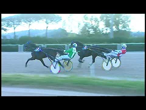 Trotto 19/01/2021 - 3ª corsa