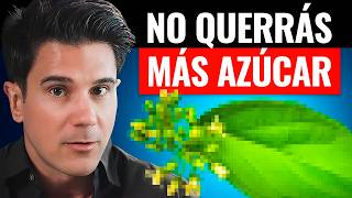 Dame 10 Minutos y Dejarás el Azúcar Para Siempre