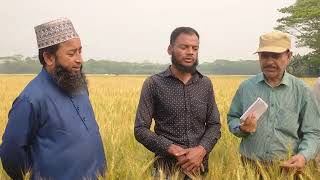 গম প্রদর্শনী