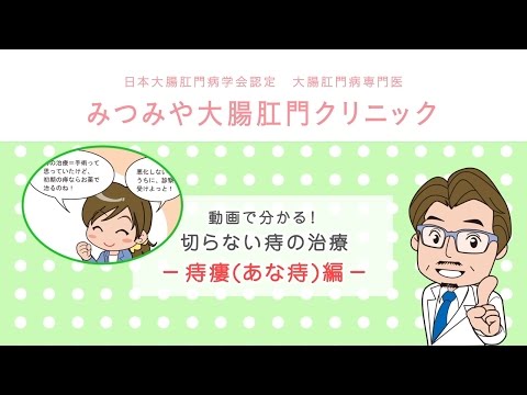 痔瘻（あな痔）編