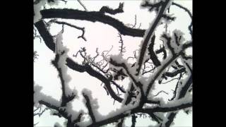 Modern Classical [Max Richter, Brian Eno, Skelton, Irisarri / Pärt, Nest et all... Für Orsolya]