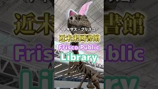 これが無料⁉️大人も子供も1日遊べるアメリカの最新図書館🇺🇸