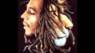 Bob Marley - Caution Remix.wmv