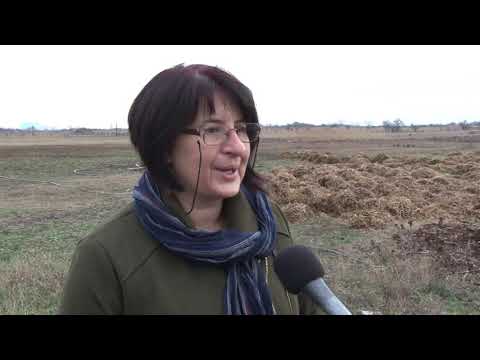 UZGAJANJE KOZA PORODICE MILOŠEVIĆ