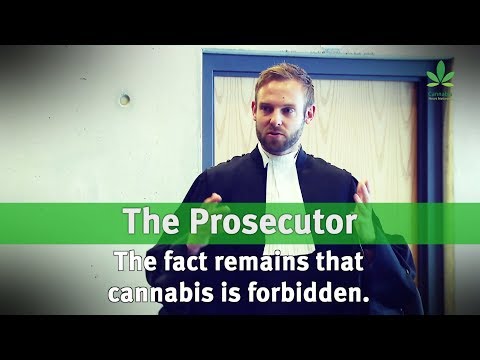 It's Darkest before Dawn | Cannabis News Network