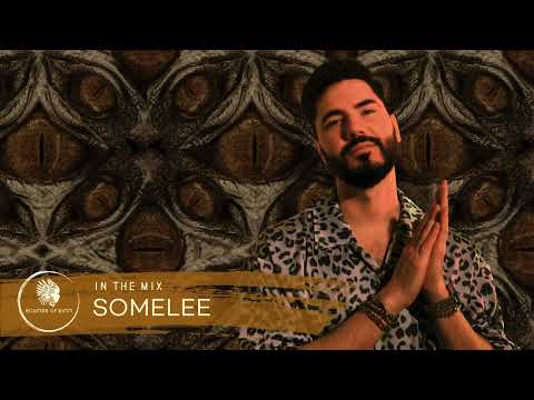 Sounds Of Sirin In The Mix #100 - Somelee