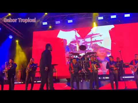 PEDAZOS DE PAPEL JUAN CATLOS TAPIA PALETO