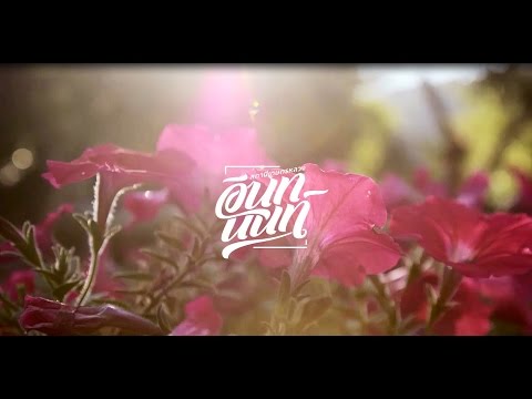 The Royal Agricultural Station Inthanon