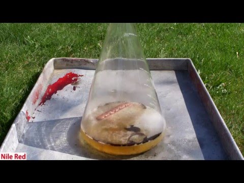 Dissolving a Hotdog in Hot Piranha