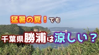 千葉・勝浦は涼しい!?