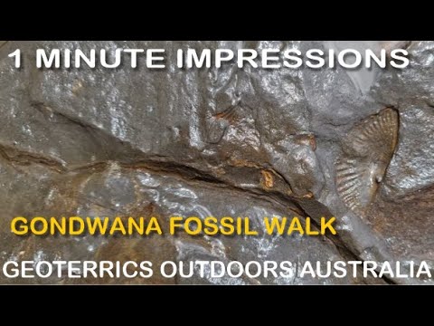 Ulladulla's Gondwana Coast Fossil Walk - South Coast NSW - 1 Minute Impressions Series