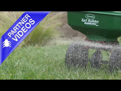  How to Feed Lawns and Kill Weeds to the Root in One Easy Step by Scotts Video 