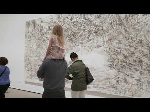 UP CLOSE: Julie Mehretu
