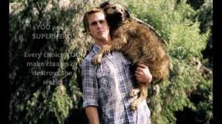 Dream come true - You Are A Superhero