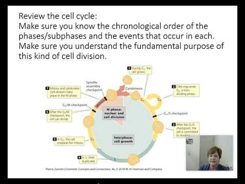 BIOL 2416 Genetics Chapter 2 Part 1