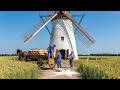 Before Electricity, Windmills Worked Like This!